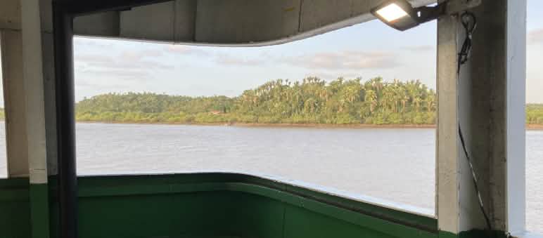 Olhar a partir de um convés sobre a água - ao fundo, terra e palmeiras