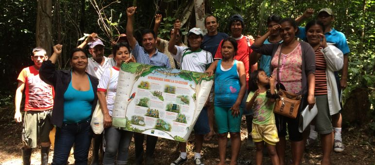 Defensores do meio ambiente do Frente Patriótico lutam pela floresta