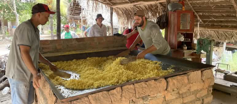 Dois homens torrando mandioca em uma grande chapa de metal quadrada.