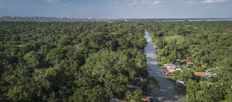 Silhueta de Belém e a floresta amazônica