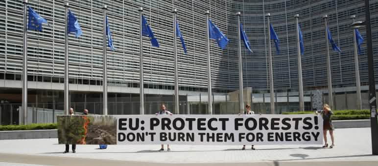 Entrega da petição em Bruxelas