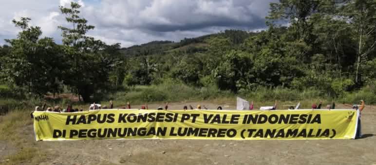 “Remova a concessão da PT Vale Indonesia das Montanhas Lumereo (Bloco Tanamalia)”, diz faixa estendida por agricultores impactados pela empresa Faixa "Tirem da PT Vale Indonésia a concessão de exploração nos Montes Lumereo (Tanamalia)!"