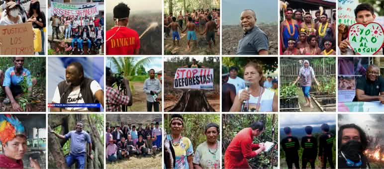 A proteção do meio-ambiente precisa de muitas cabeças e mãos Parceiros/as de Salve a Selva