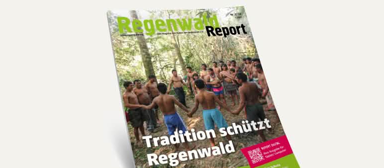 Vista 3D da capa da nossa Revista “Regenwald Report 2/22”