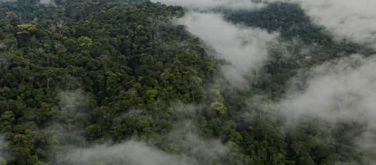 Vista aérea de Yasuni, coberta de nuvens