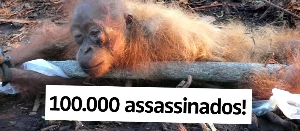 100.000 assassinados!