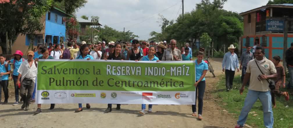 Manifestação pela salvação da Reserva Biológica Indio Maíz, na Nicarágua