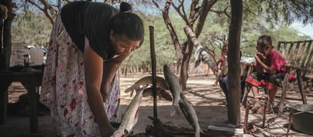 Mulher indígena prepara um grelhado de peixes no chão, entre copas de árvores, enquanto uma criança a observa