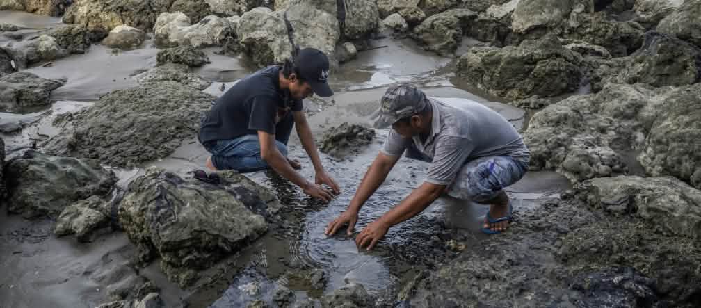 Dois homens mostram a costa poluída pelo betume