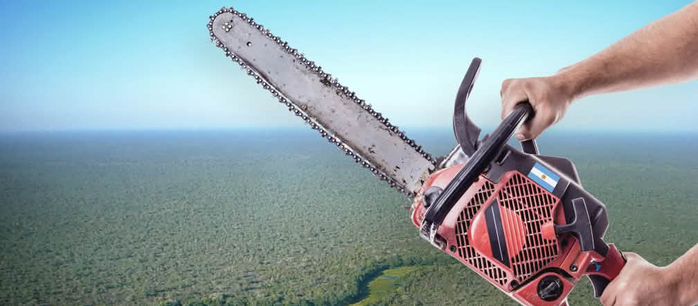 Fotomontagem: Fotografia aérea da Floresta do Chaco com duas mãos segurando uma motosserra