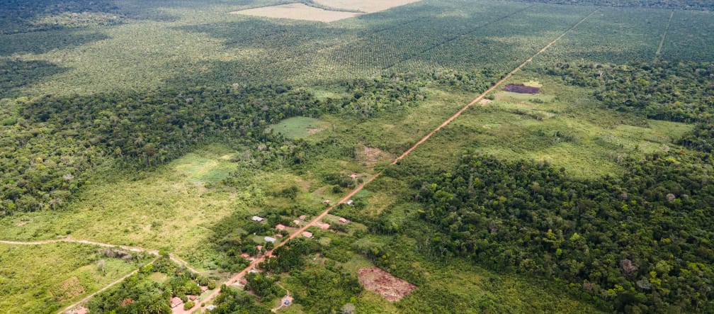 Vista aérea de um pequeno município ao longo de uma pista reta, e na parte de trás, as monoculturas
