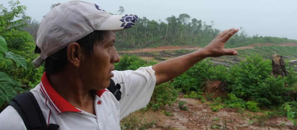 Um pequeno agricultor aponta para uma área recém-desmatada Um pequeno agricultor aponta para uma área recém-desmatada na floresta amazônica