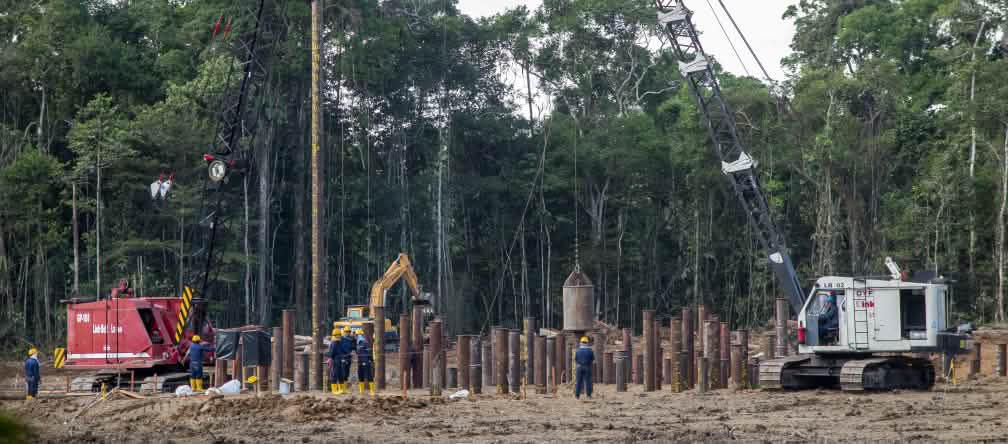 Petróleo na floresta tropical