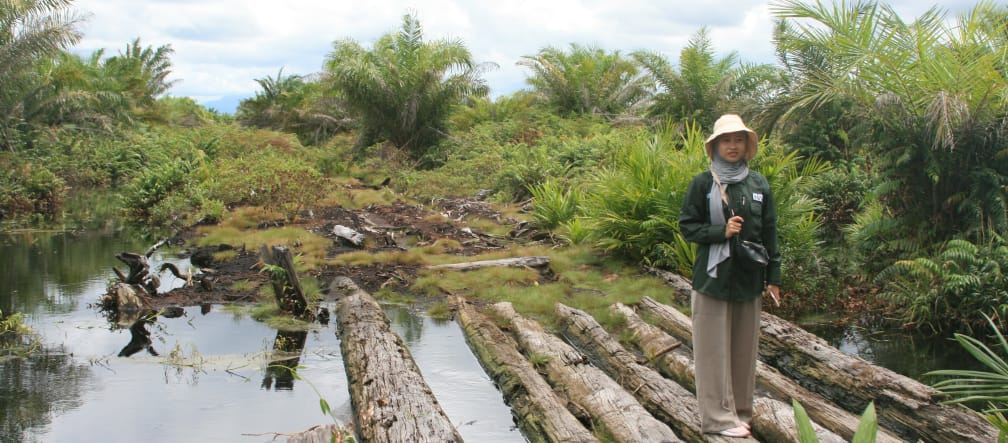 Colaboradora da AWF em pé, sobre troncos de madeira em floresta pantanosa de turfa. À direita e à esquerda, palmas de óleo