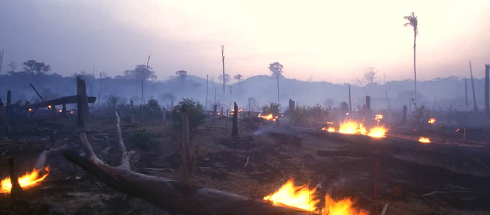Incêndio no Brasil Incêndio florestal no Brasil