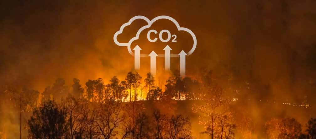 Incêndios florestais e queimadas intencionais contribuem com o avanço da crise climática Incêndios florestais e queimadas intencionais contribuem com o aquecimento global