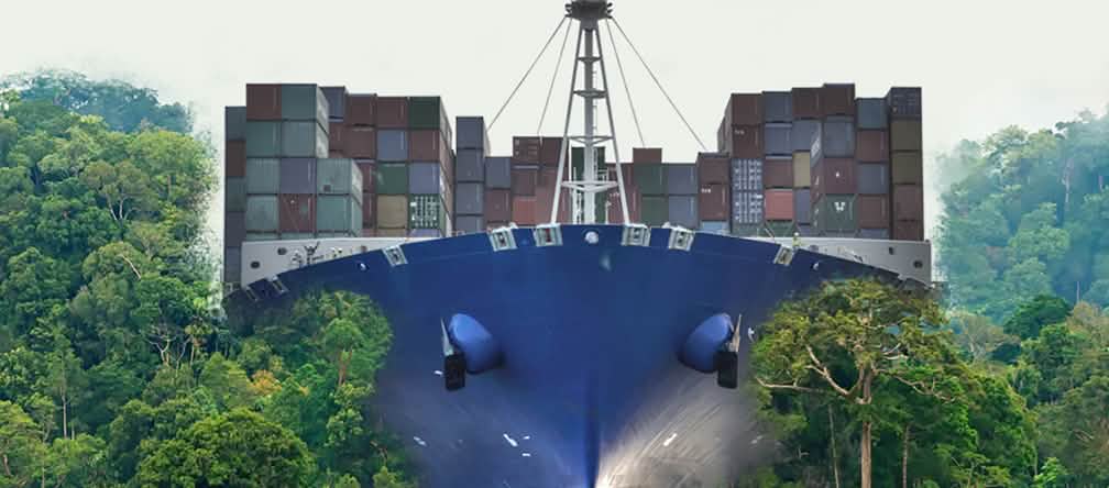 Canal da Nicarágua: a extração global de recursos naturais destrói a natureza e ameaça os homens Um navio de carga no meio da floresta tropical