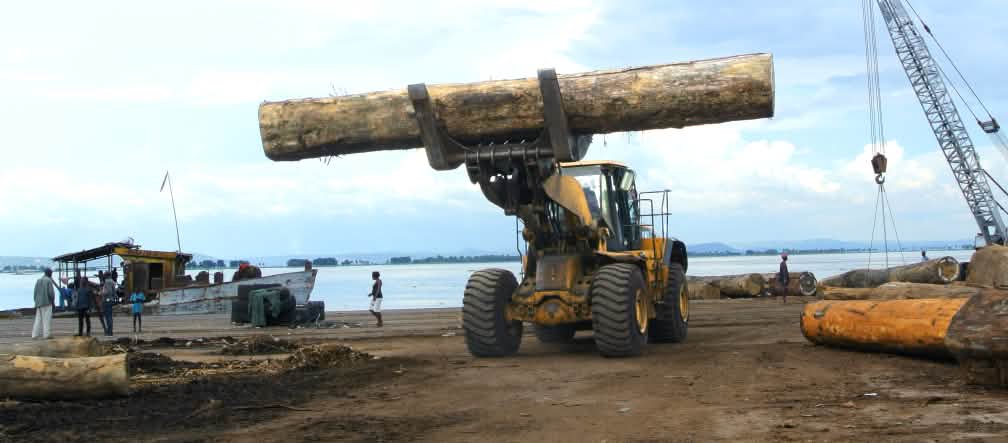 Carregamento de madeira no porto de Kinshasa