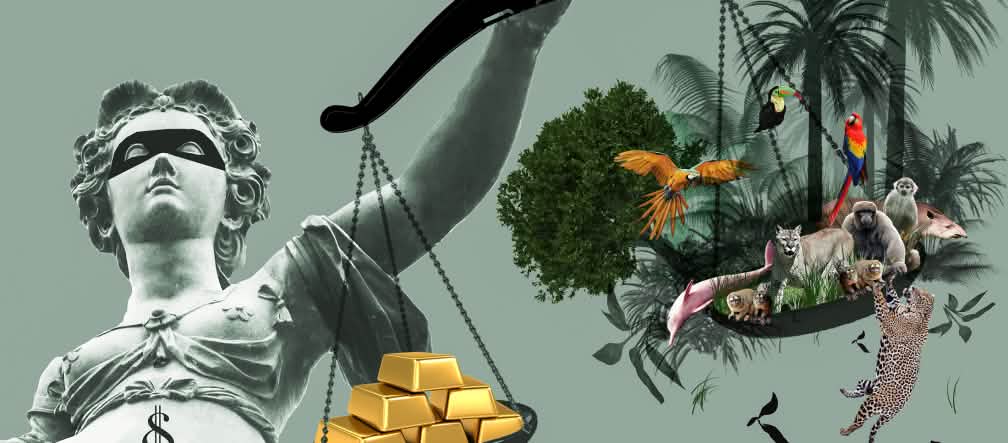 Justiça privada pondera equilíbrio entre mina de ouro e floresta tropical Na mão de Justitia os pratos de pesagem com ouro num lado e a floresta tropical no outro. O ouro é mais pesado.