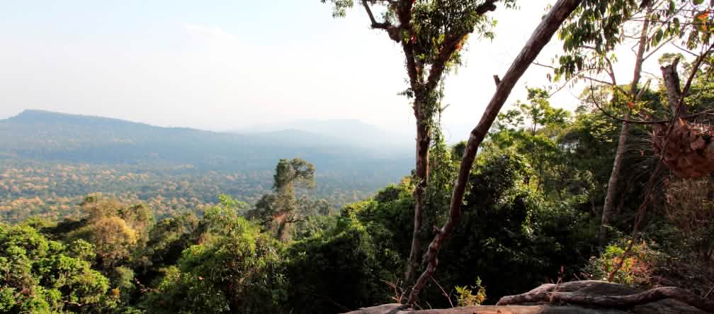 Assim tem que ficar: floresta tropical até ao horizonte (foto: Luke Duggleby)