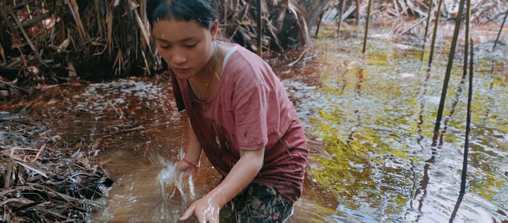Uma jovem do povo lavando farinha de sagu de uma palmeira de sagu