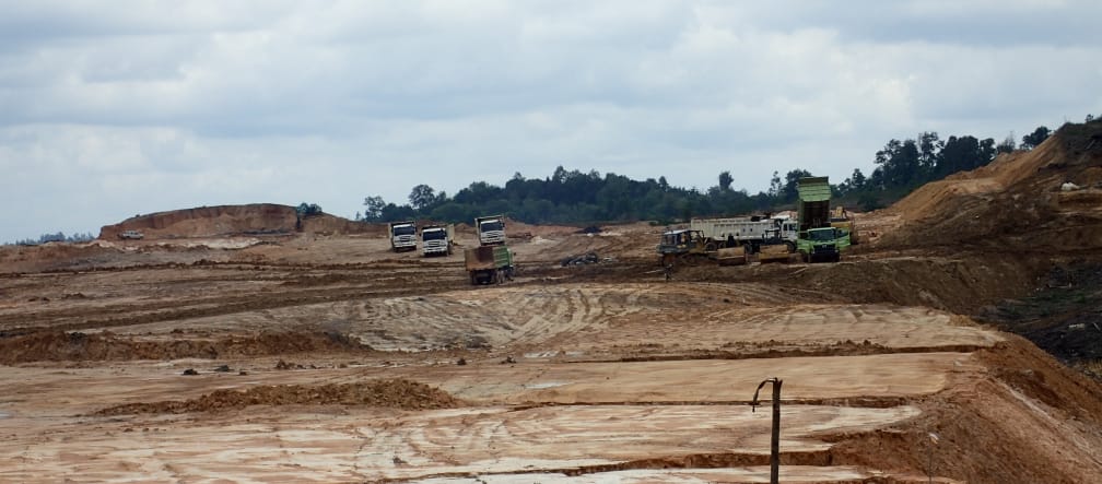 First Resources destrói a floresta dos macacos-narigudos perto de Balikpapan