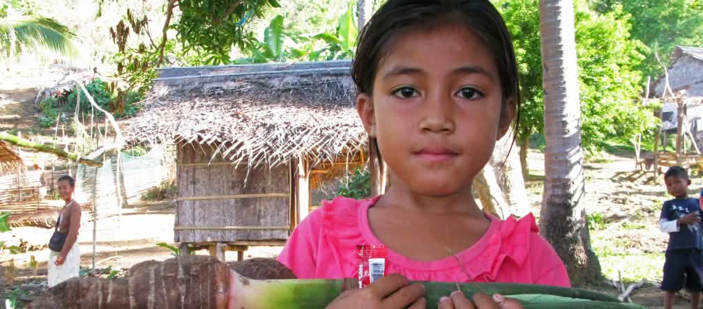 As famílias indígenas dos Pala'wan cultivam frutas e legumes em pequenas hortas na floresta Uma menina com cormos de taro no braço, no fundo da imagem cabanas