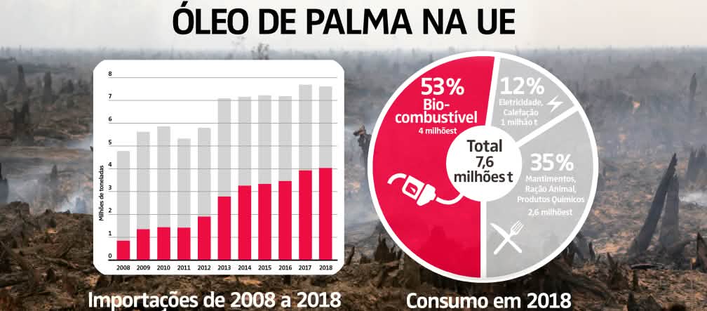 Importações e finalidades do óleo de palma na UE (2018) Palmölimporte in die EU und Verwendung 2018 - PT