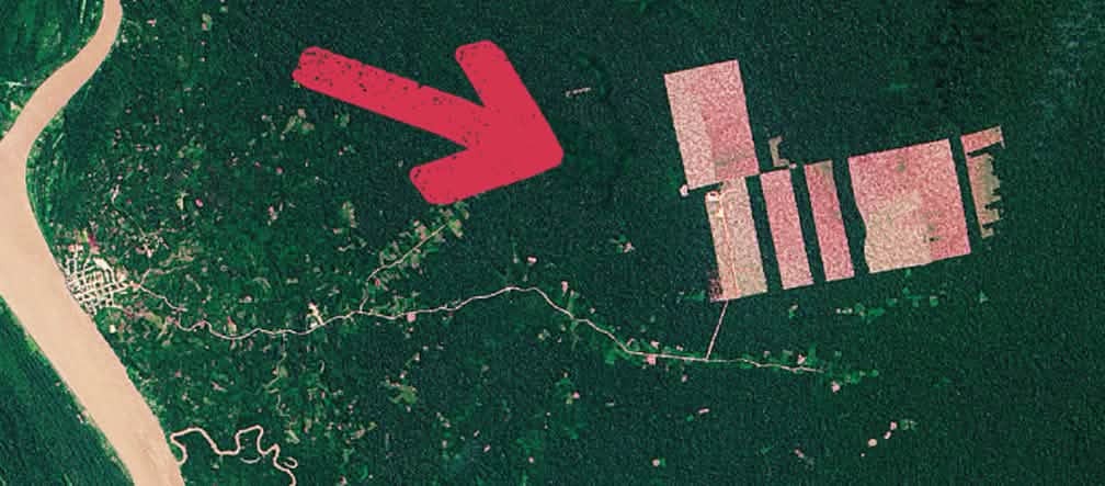 Empresas de óleo de palma requereram o desmatamento de 100 mil hectares de floresta tropical. (Foto: NASA)