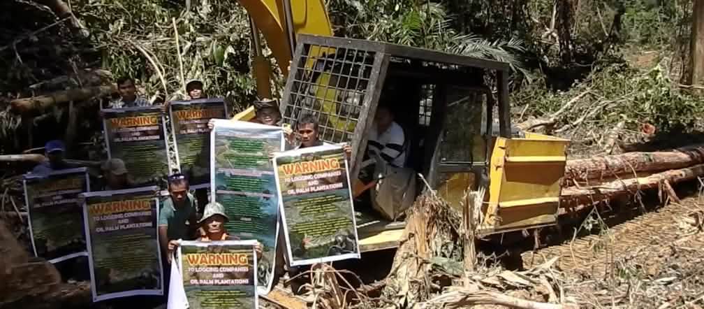 Desmatamento em prol de plantações de palmas de óleo em Sarawak, Malásia Protesto contra plantações de palma de óleo em Sarawak