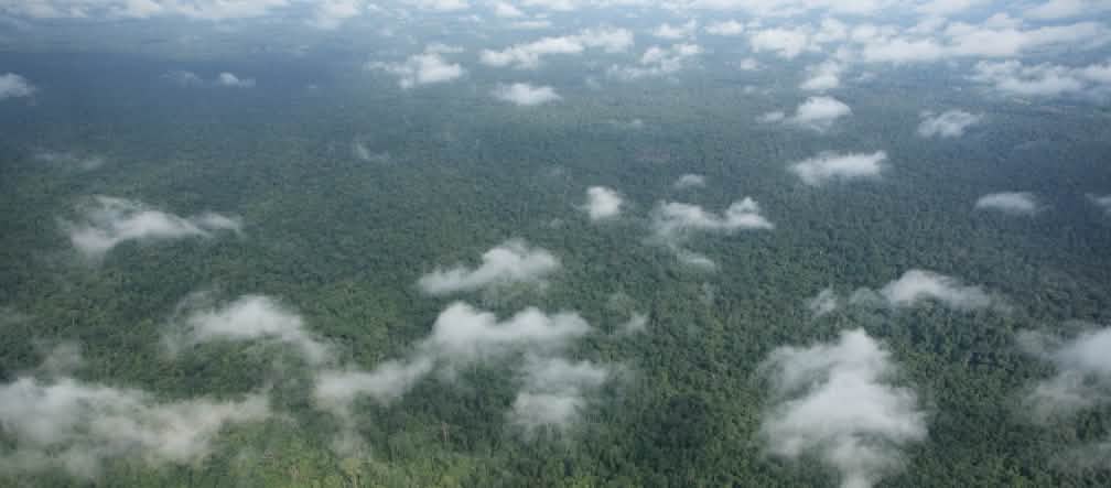 Fotografia aérea com nuvens sobre floresta tropical densa
