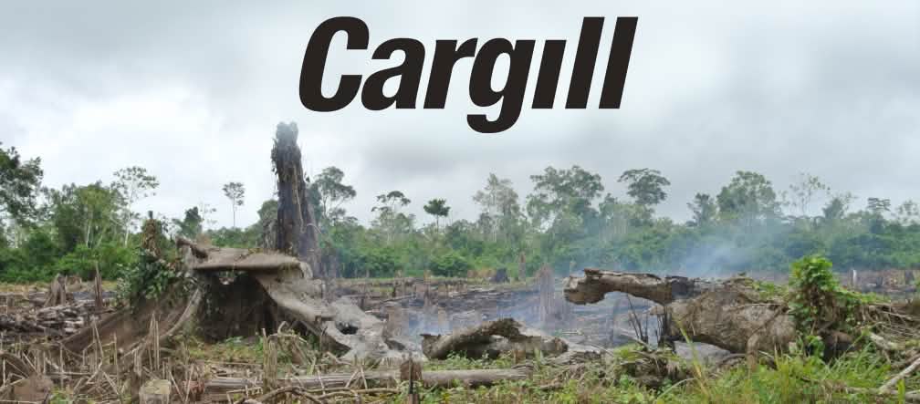 Floresta desmatada Queimada na floresta + logo da Cargill