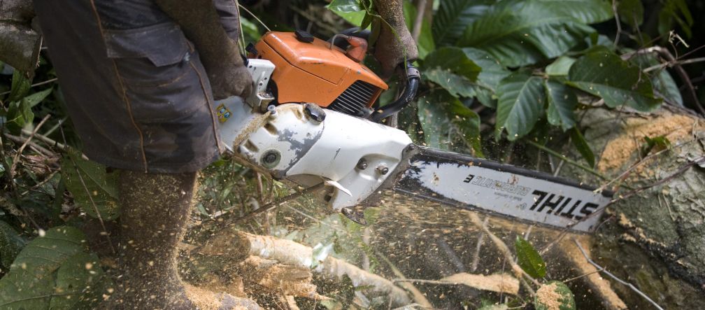 Lenhador com motosserra da Stihl