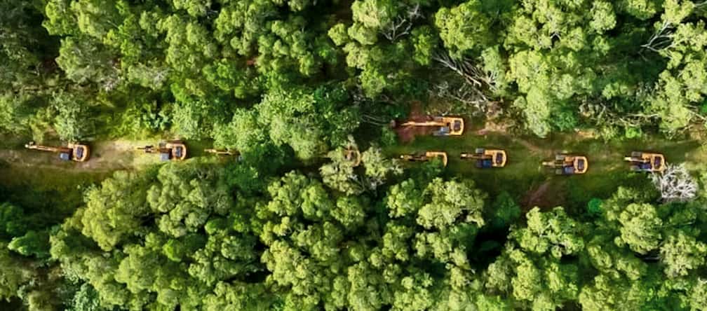 Longa fileira de escavadeiras pela floresta tropical (foto tirada por drone)