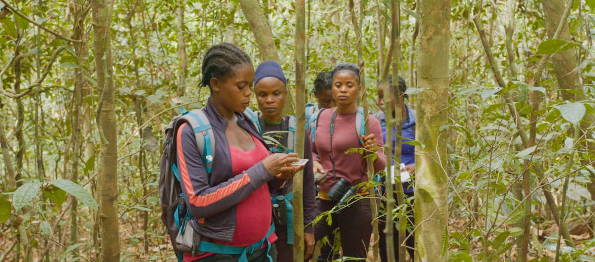 Guardas ambientais em floresta tropical da Libéria