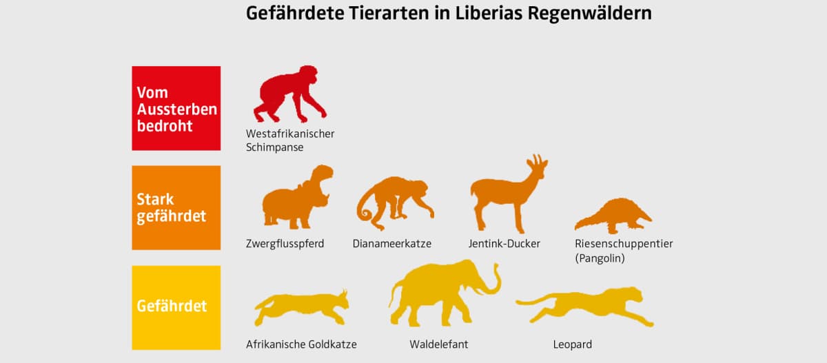 Gráfico com os animais  mais ameaçados da Libéria