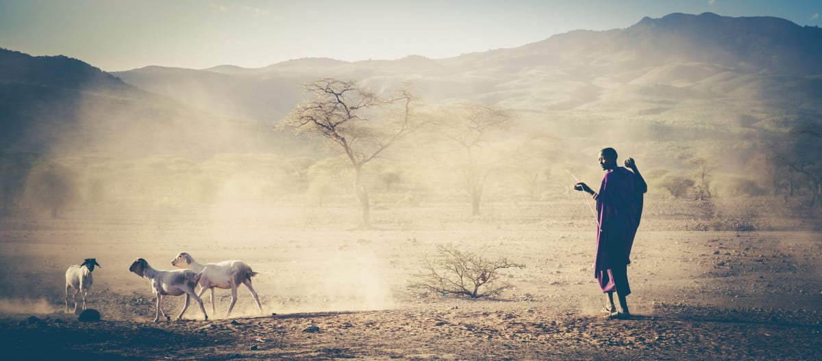 Pastor de rebanho na Tanzânia, Massai