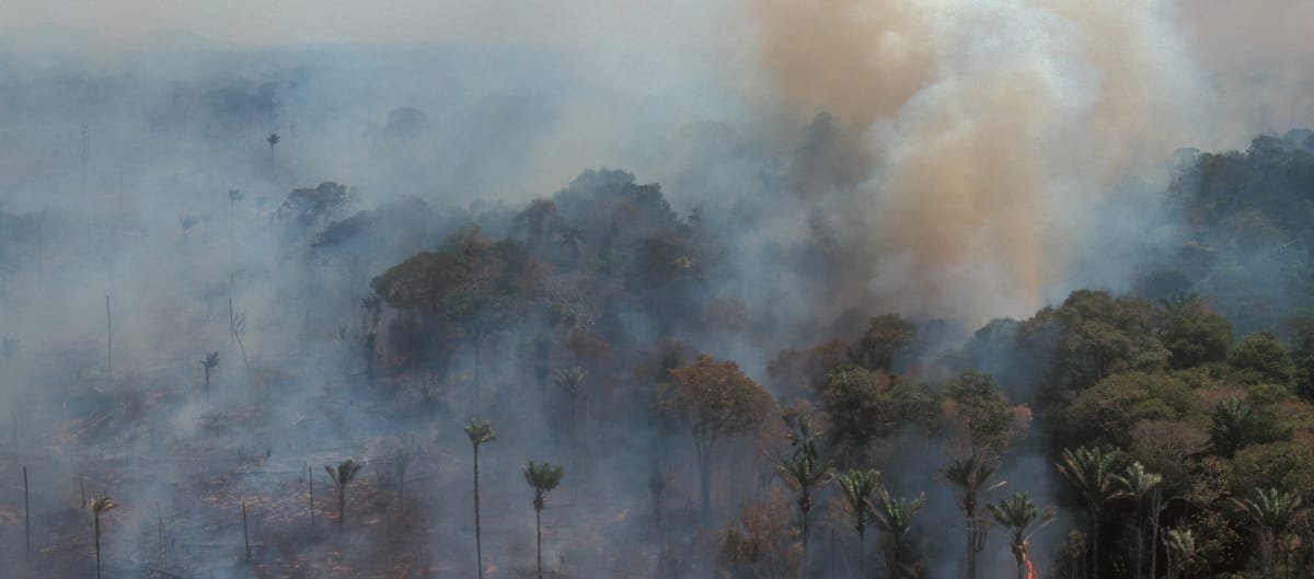 Vista aérea de uma floresta tropical em chamas