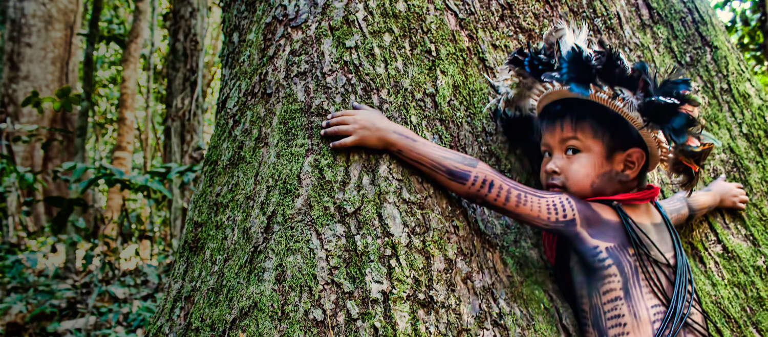 Criança indígena de corpo pintado e ornamentada com adereço de penas abraça um gigantesco tronco de árvore