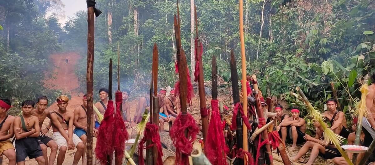 Os indígenas Dayak Tomun, de Kinipan, opõem-se ao desmatamento de sua floresta, feito pela firma de óleo de palma SML