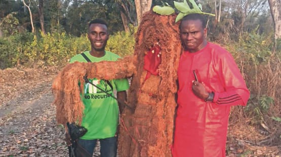 Espiritualidade na Guiné-Bissau