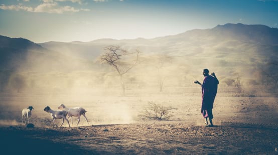 Pastor de rebanho na Tanzânia, Massai