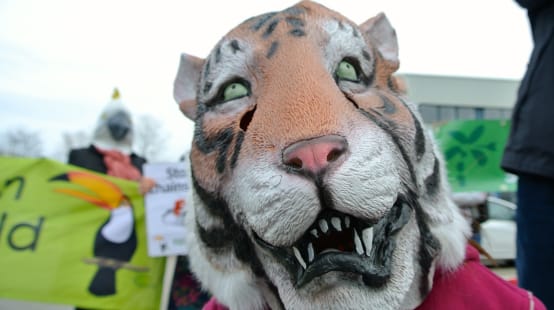 Máscara de tigre em manifestação de "Salve a Floresta"