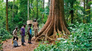 Guardas ambientais na floresta tropical