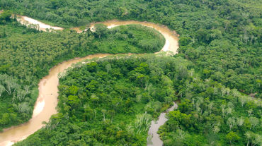 Fotografia aérea da Amazônia peruana