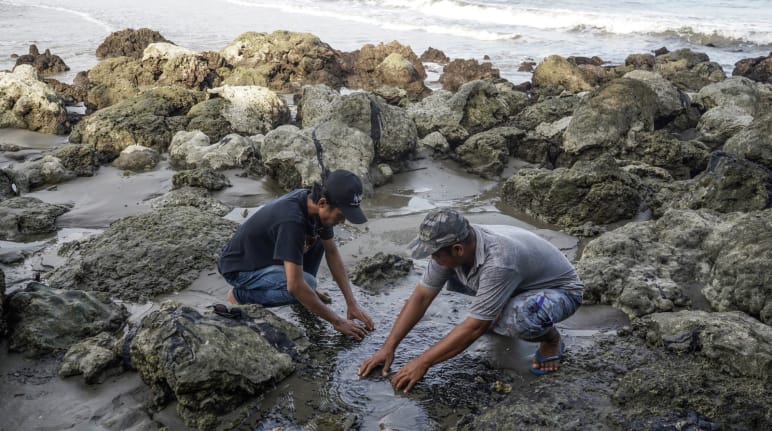 Dois homens mostram a costa poluída pelo betume