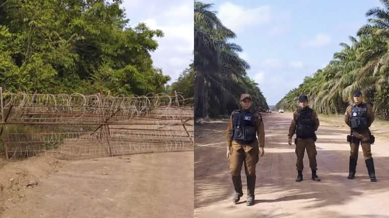 À esquerda, arame farpado (concertinas) altamente controverso, devido aos ferimentos graves que pode causar. À direita, seguranças privados da empresa. A foto é composta por duas imagens diferentes. À esquerda da foto, um bloqueio feito com arame farpado impede a passagem por uma estrada de terra. À direita, três homens em pé, uniformizados e com coletes de segurança, encaram a câmera.