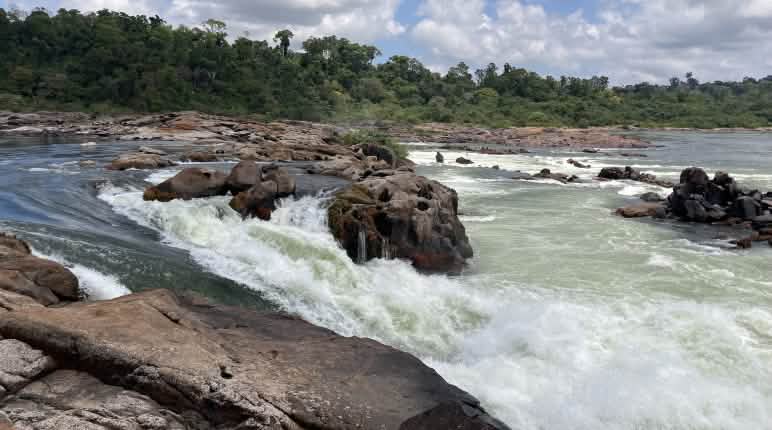 Volta Grande do Xingu A água do Xingu desce vários metros entre as rochas da floresta tropical
