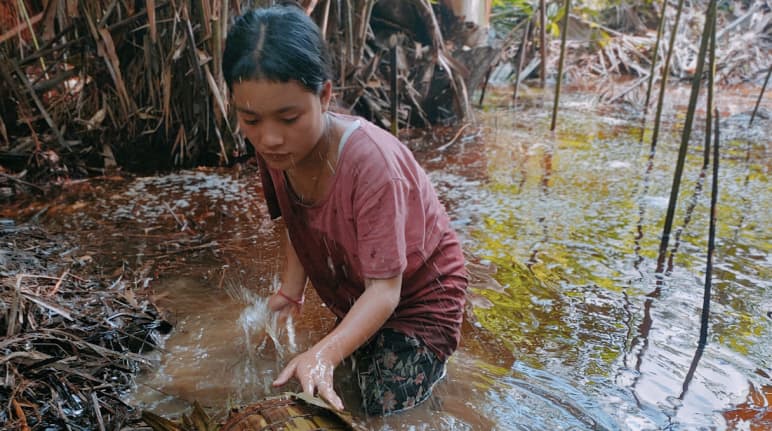 Uma jovem do povo lavando farinha de sagu de uma palmeira de sagu