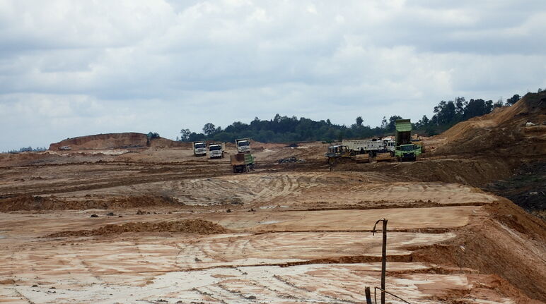 First Resources destrói a floresta dos macacos-narigudos perto de Balikpapan